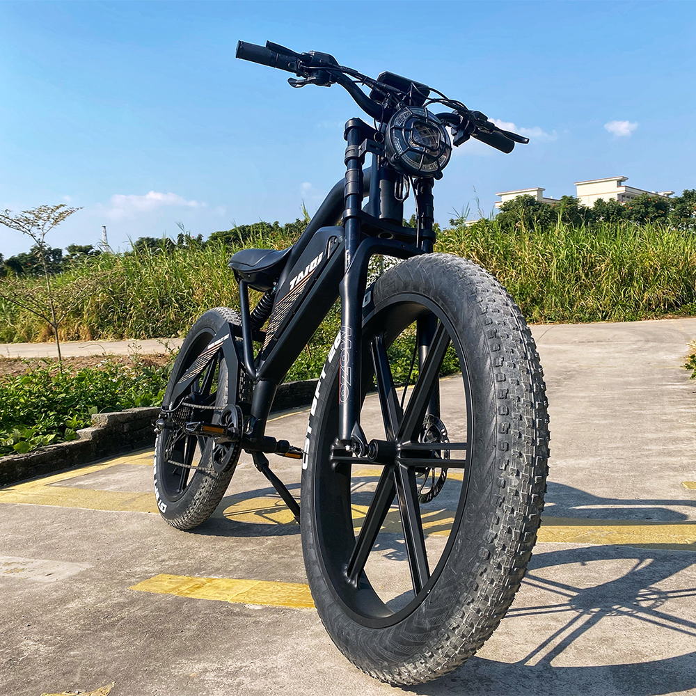 XT600 EU America popular Electric 48v off Road Fat Tire Adult Electric 500W 1000W Electric bike
