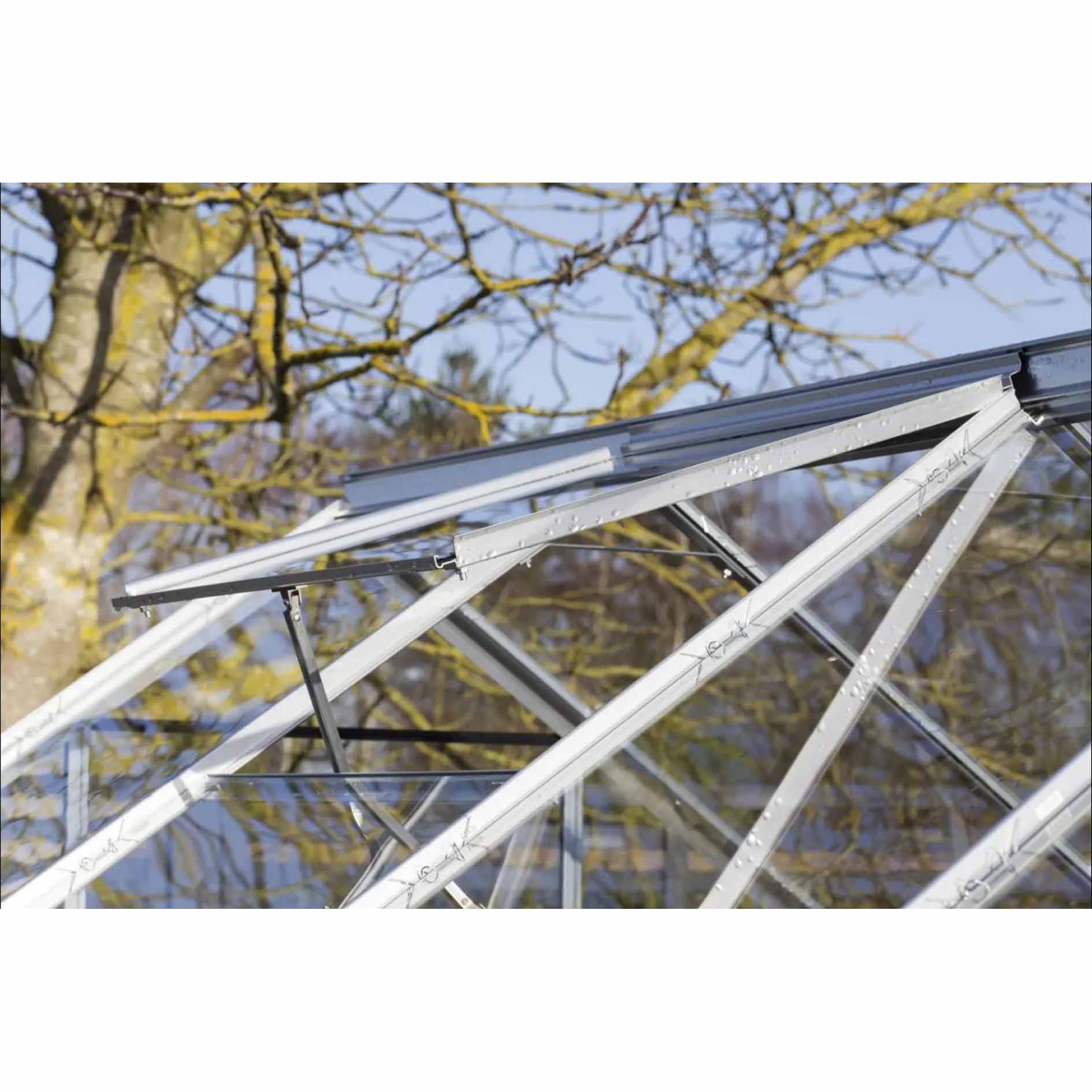 Vitavia 8x6 Venus 5000 Greenhouse - Horticultural Glass