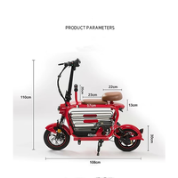 Double Electric Bike