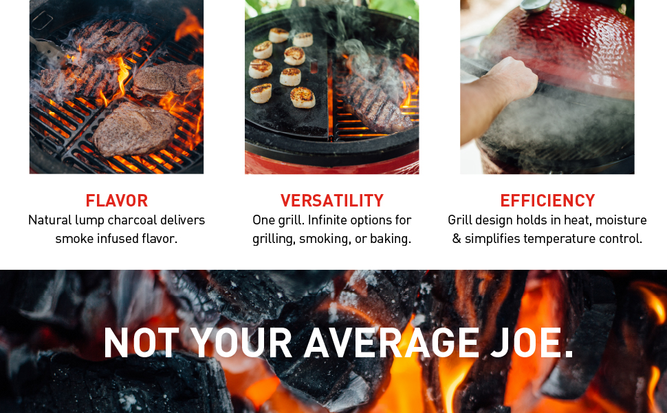 Flavor Versatility Efficiency