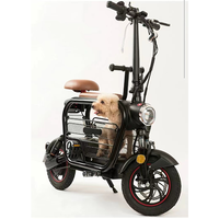 Double Electric Bike