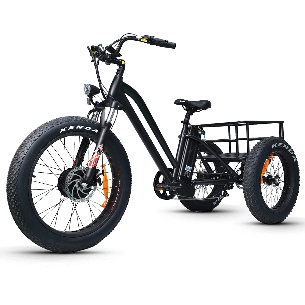 Electric Fat Trike 48V 1000W snowmobile Electric three-wheeled fat ebike 20-24inch wheel electric CARGO ebike