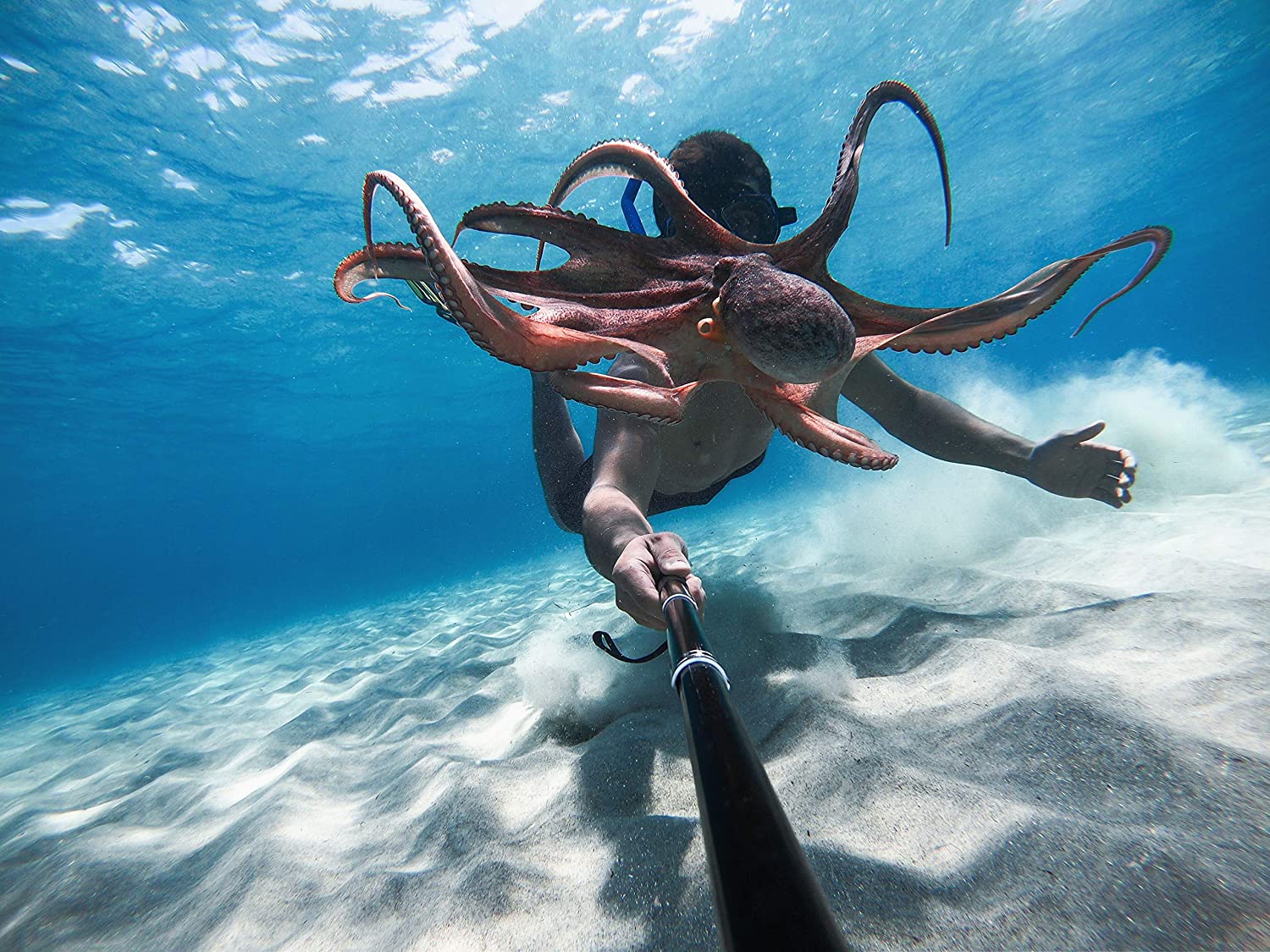 1672-Mega savings on this mega sale