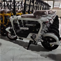 Double Electric Bike