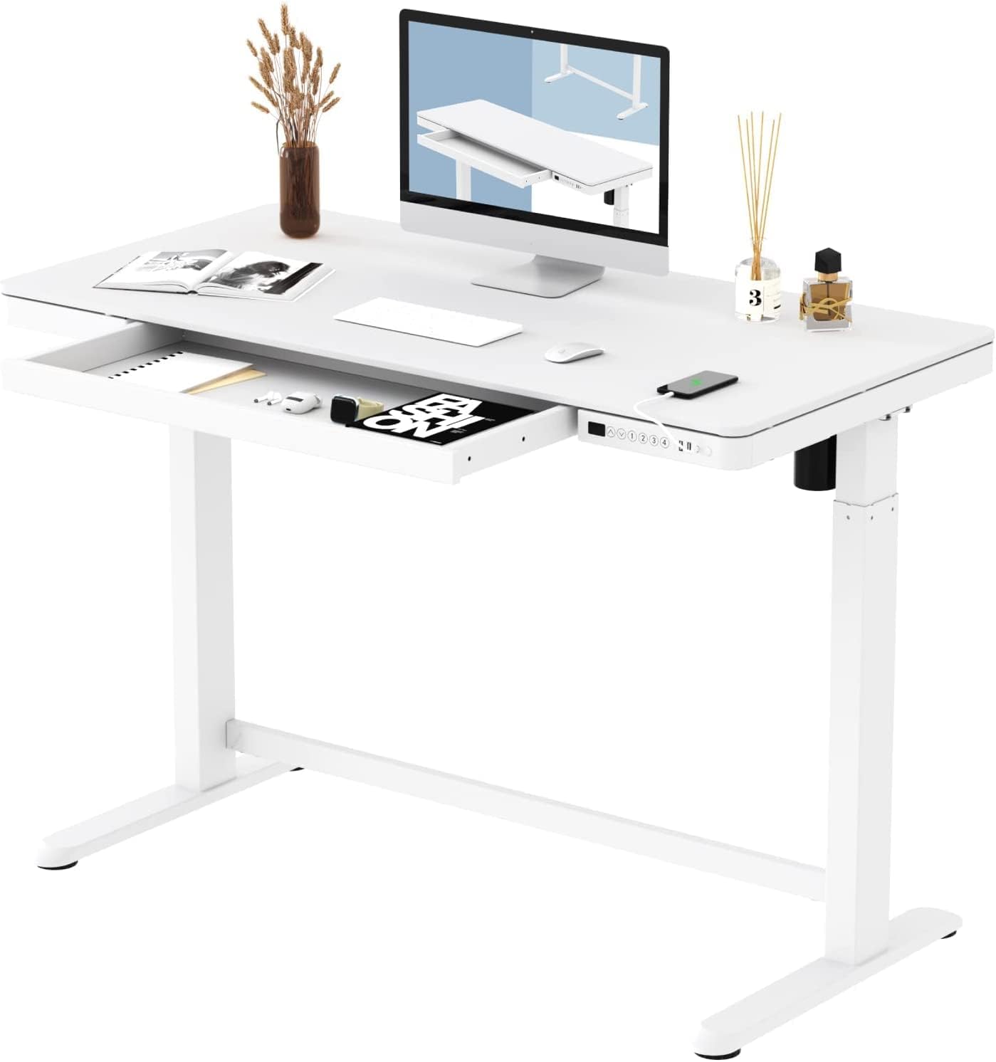 FLEXISPOT Comhar EW8M Electric Standing Desk, Home Office Electric Height Adjustable Sit-Stand Desk 120 * 60cm Maple Top with Drawer & Fast USB Chargers (White Frame+Maple Top)