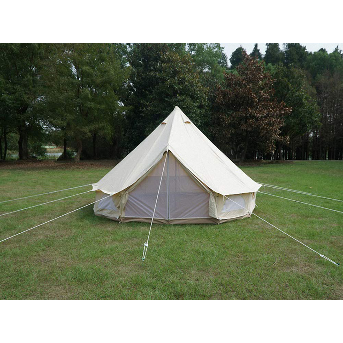 2215-Check out our once in a lifetime offer