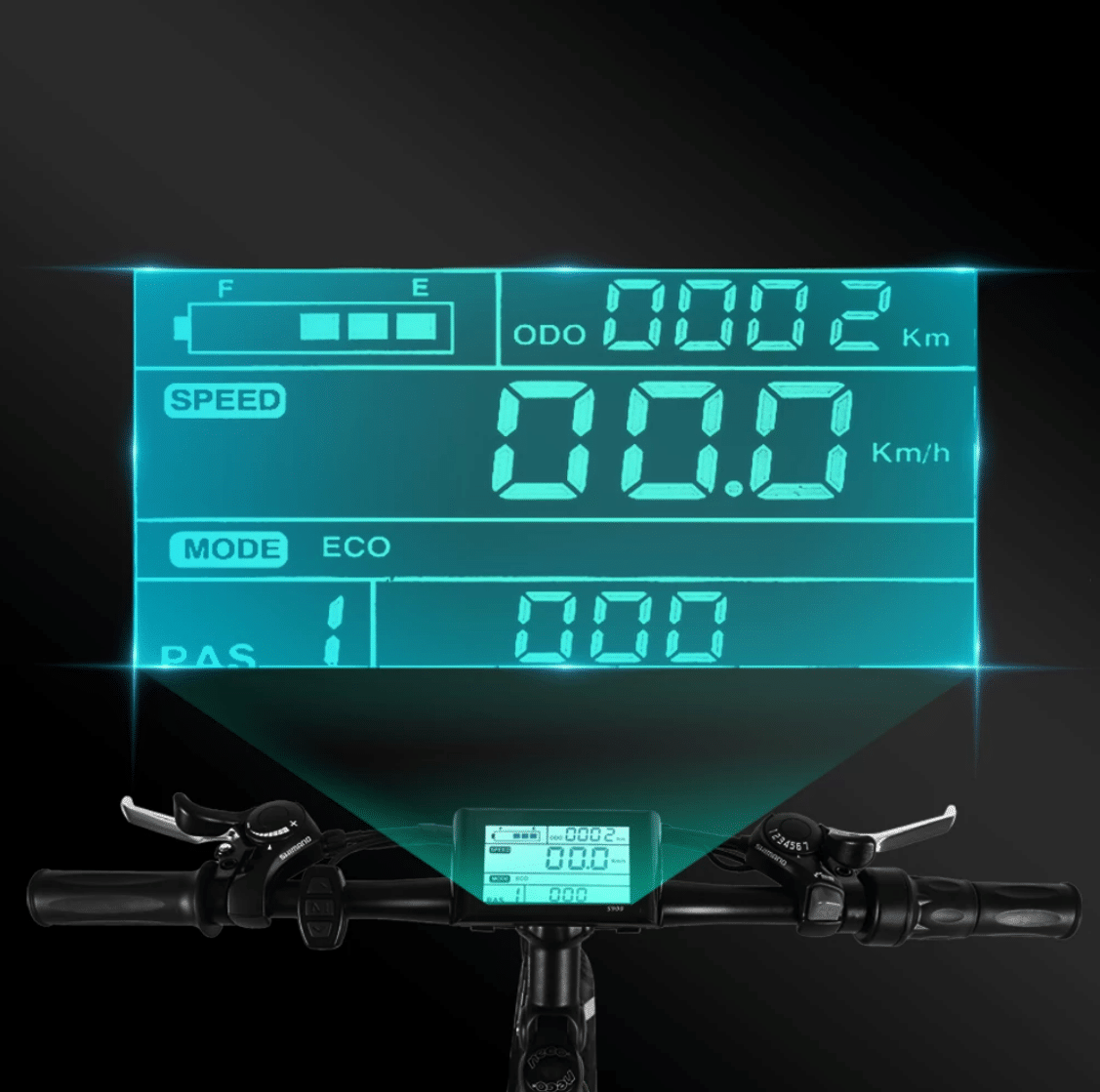 2915-ZPAO Electric Bike Fat Tire 48V Lithium Battery Folding Bike 1000W Beach Off-Road Snow Electric Bike 21 Speed Mountain Bike