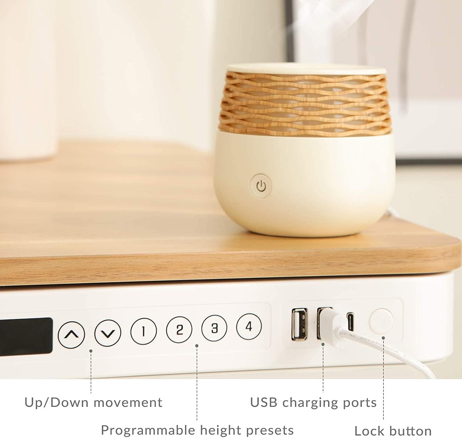 FLEXISPOT Comhar EW8M Electric Standing Desk, Home Office Electric Height Adjustable Sit-Stand Desk 120 * 60cm Maple Top with Drawer & Fast USB Chargers (White Frame+Maple Top)