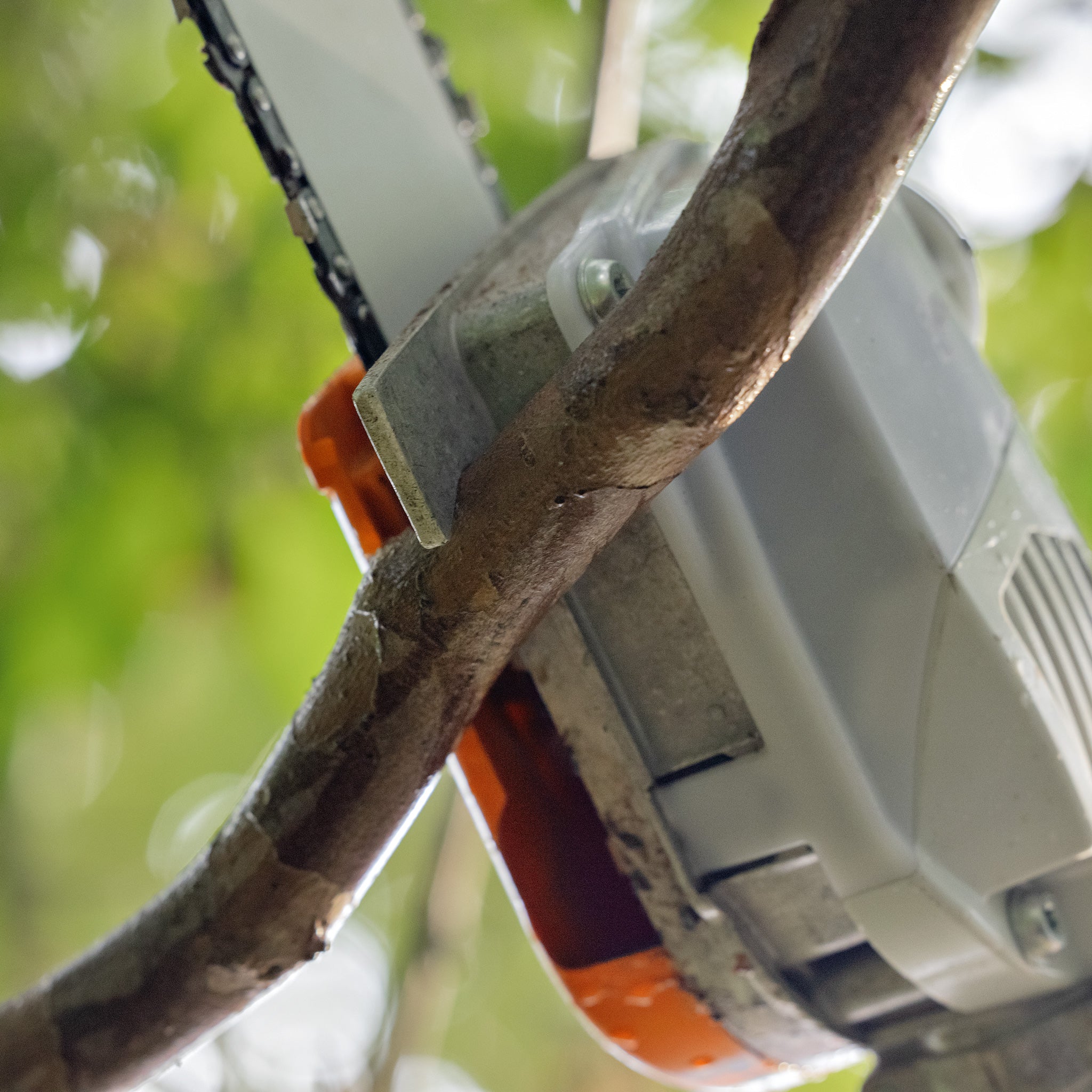 HTA 86 CORDLESS POLE PRUNER