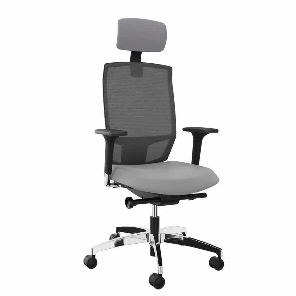2025 Dauphin Ergonomischer Bürostuhl @JUST EVO MESH AJ 5786 mit Kopfstütze – Konfigurierbar