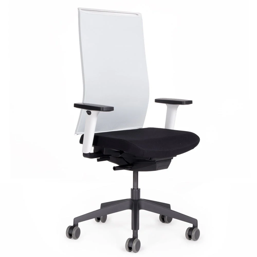 Agilis Matrix MT12 2025 Langsam verstellbarer ergonomischer Bürostuhl mit Netzrückenlehne, Sonderedition, Reines Schwarz