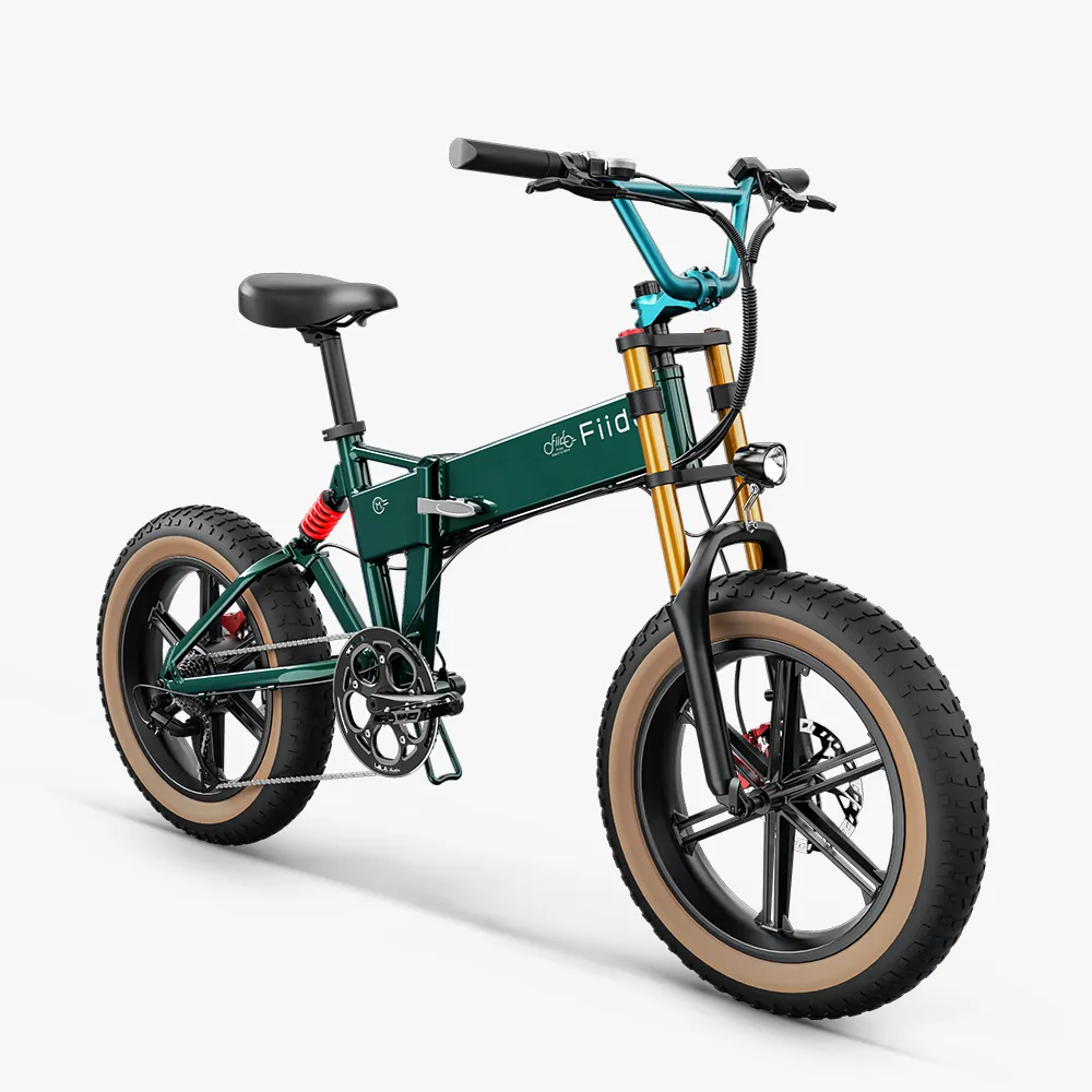 2025 Fiido M1 Pro Elektro-Fatbike mit großem Rad