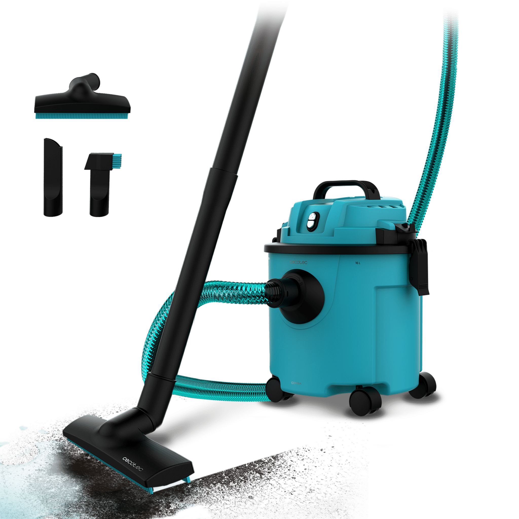 Rockstar Nass- und Trockenkompaktgarten Plus Conga