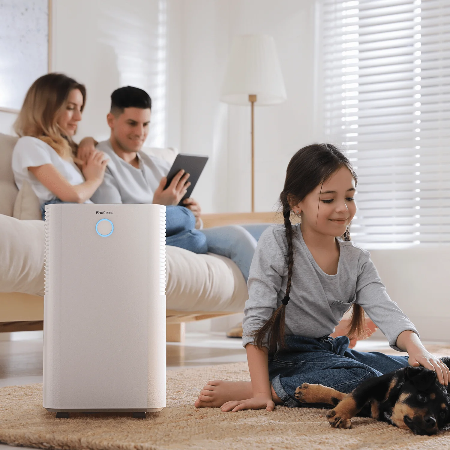 OmniDry 12L Leiser und energieeffizienter Luftentfeuchter – Weiß