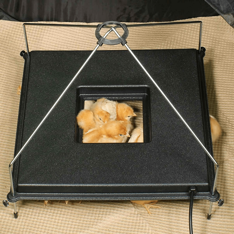 Premium-Heizplatte 2025 für Küken – Kükenaufzuchtbox