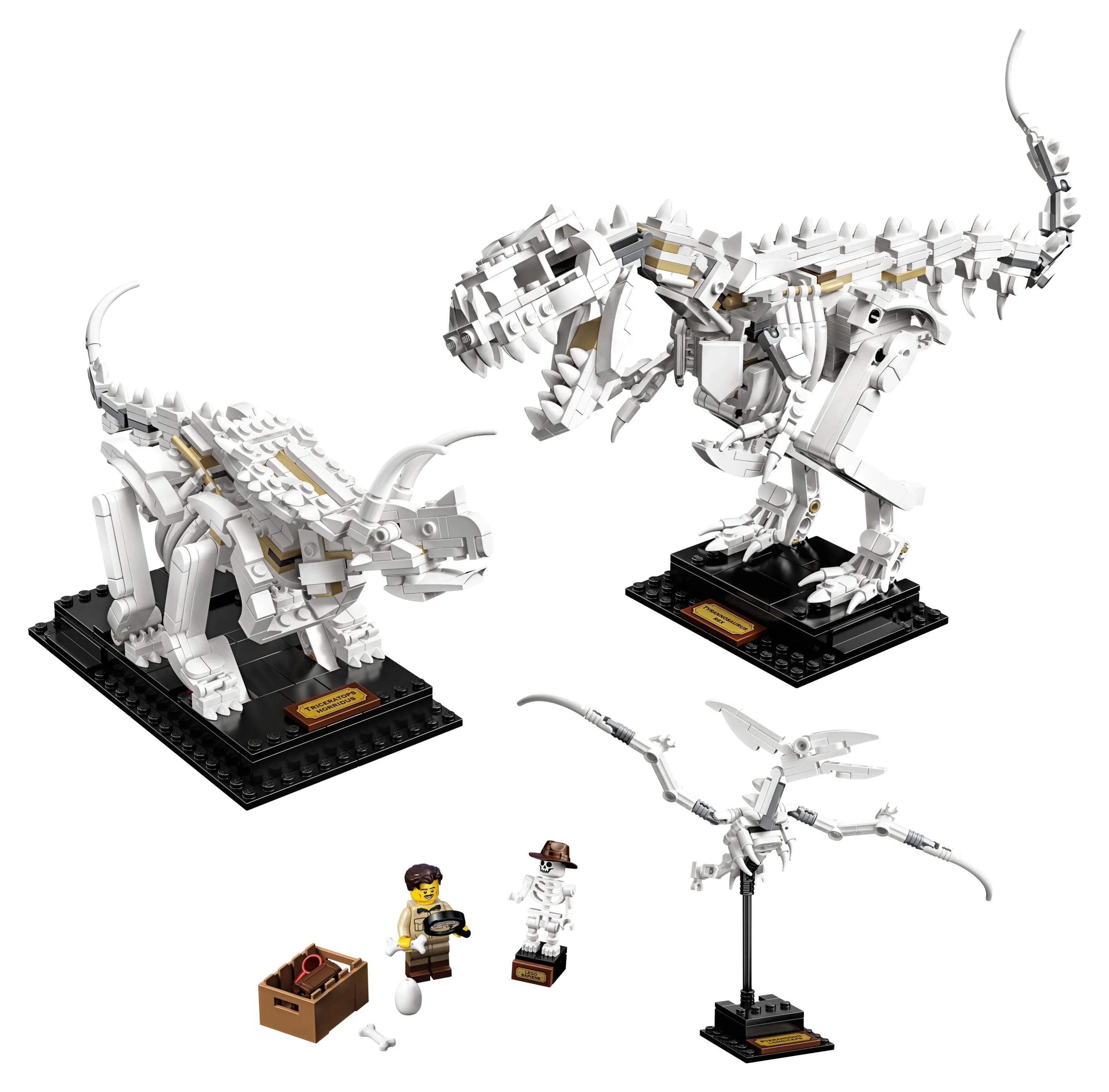 LEGO Ideas 21320 Dinosaurierfossilien – Bauset (910 Teile)