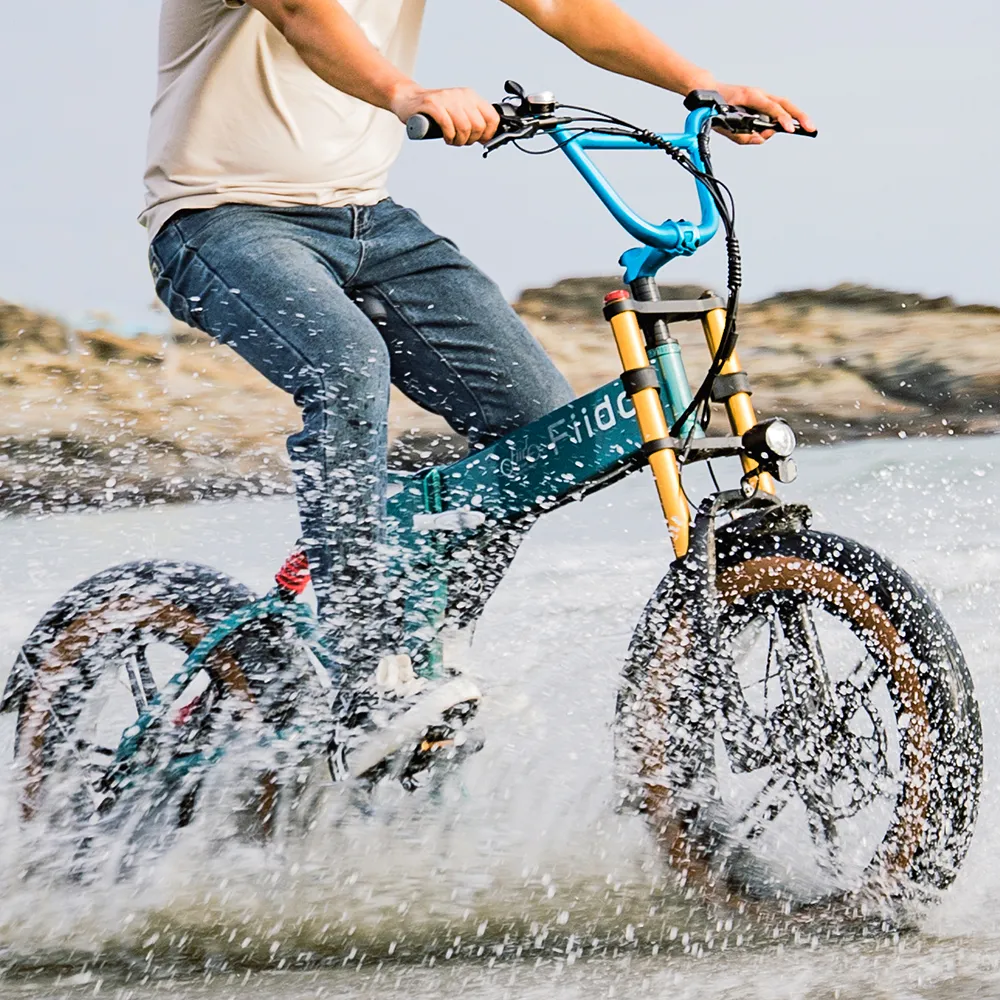 2025 Fiido M1 Pro Elektro-Fatbike mit großem Rad
