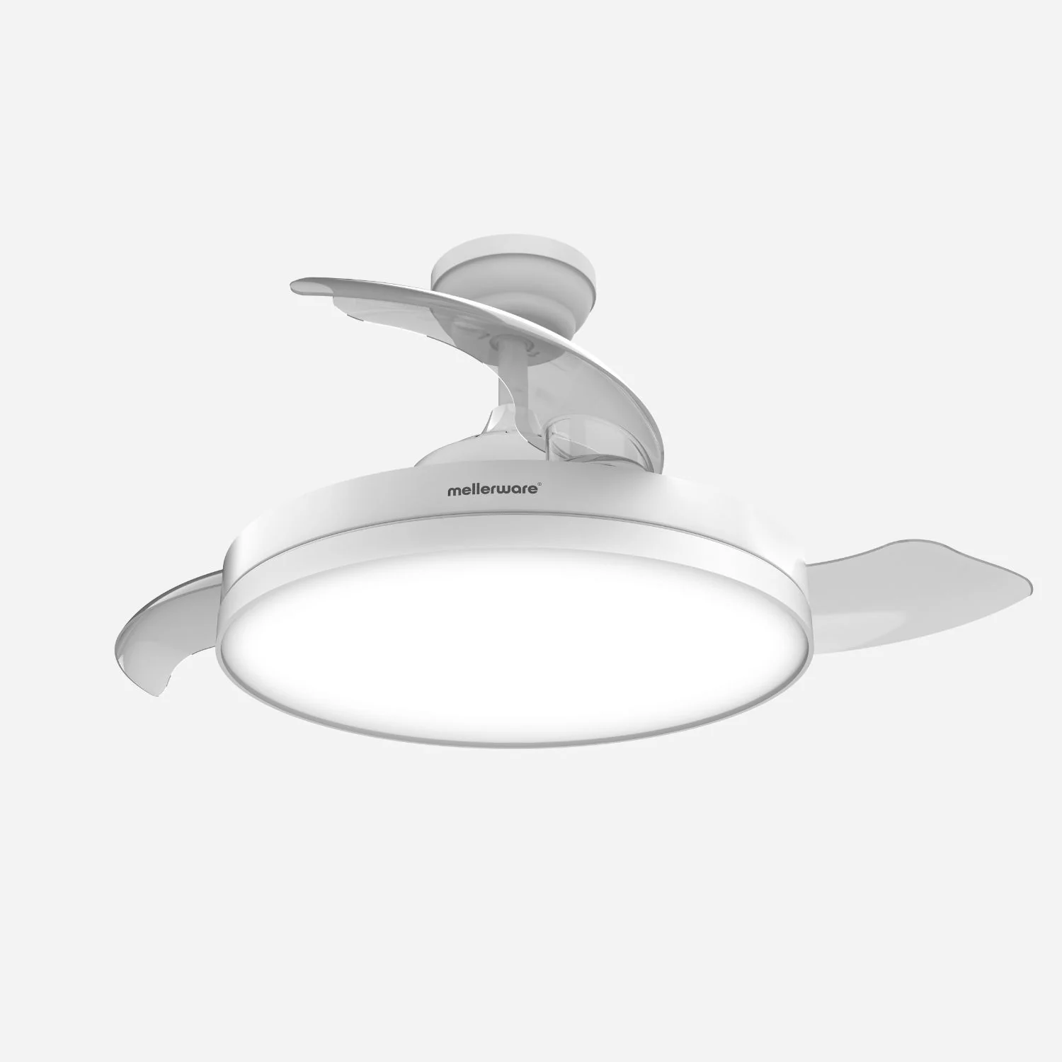 Brizy Bright Faltbar