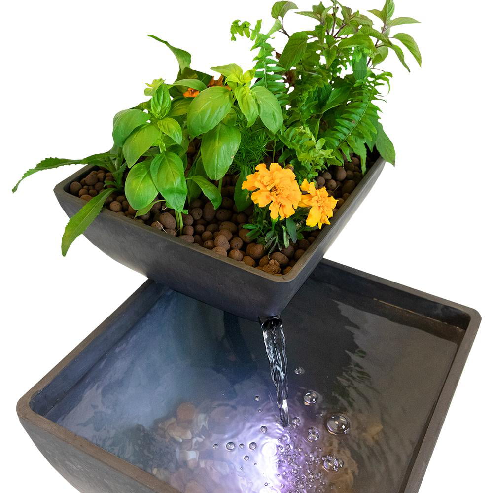 AquaSprouts Springbrunnen: Hydroponischer Wassergarten, Aquaponik (8 Gallonen)