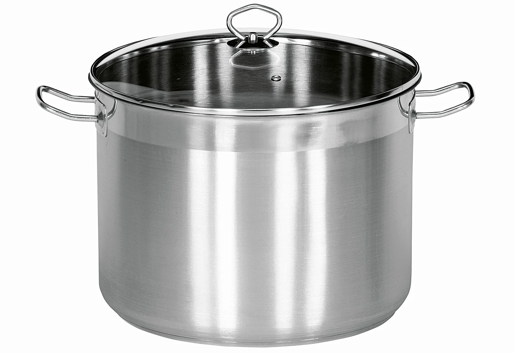 2025 Maxi 20L Vielseitiger Topf aus Edelstahl mit Glasdeckel